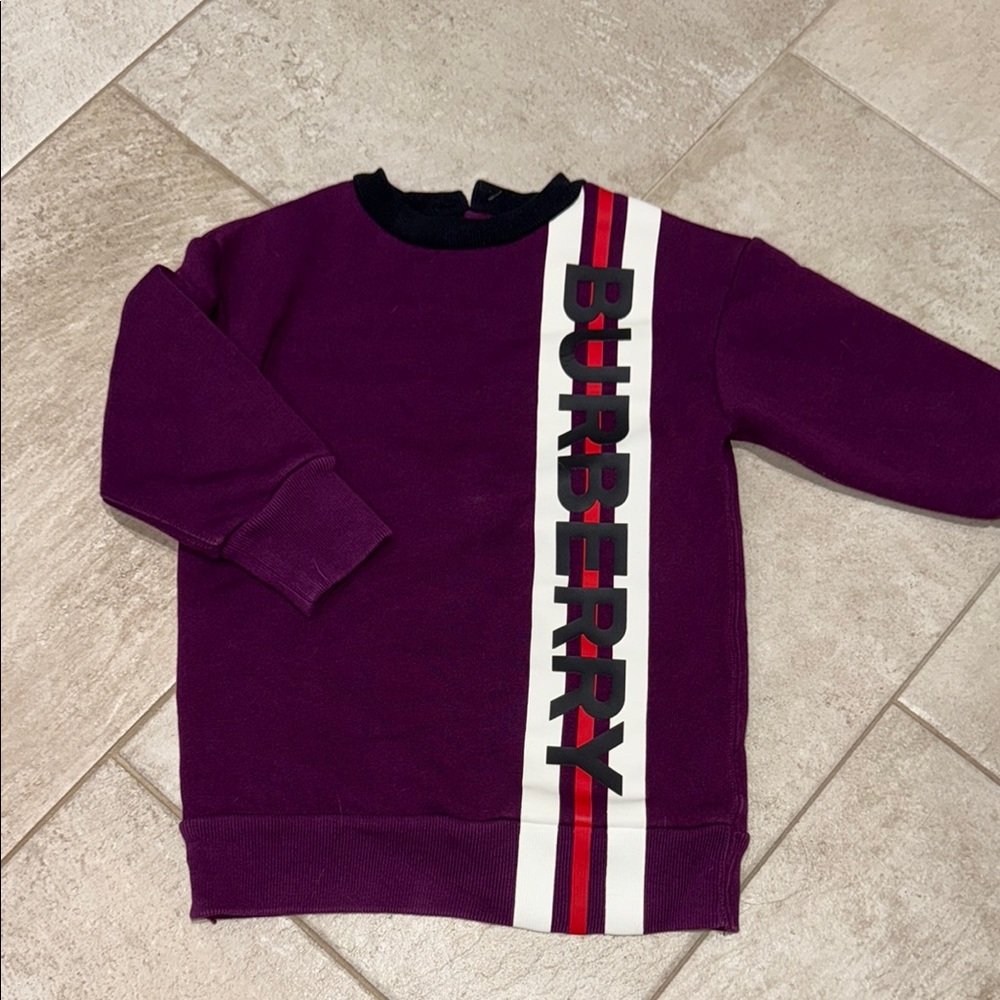 Burberry Purple Crewneck Sweater with Sporty Stripes
